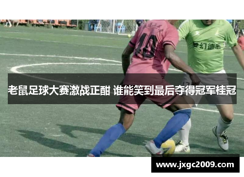 老鼠足球大赛激战正酣 谁能笑到最后夺得冠军桂冠